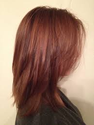 Auburn Hair With Highlights And Lowlights Auburn Hair With Highlights Hair Styles Auburn Hair