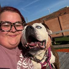 Stray Rescue of St. Louis...