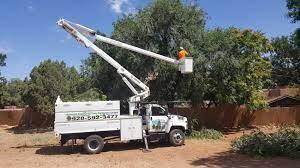 Our certified arborists adhere to strict industry safety standards and practices. Tree Trimming Your Local Verde Valley And Sedona Tree Service Company