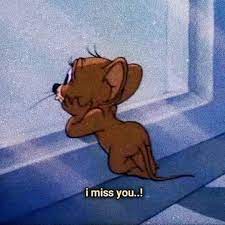 Facebook stories take up the full screen of a phone. Meme Profile Picture Wallpapers Wallpaper Cave