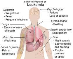But there are a few things to. Leukemia Wikipedia