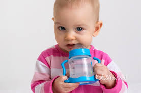 Merhaba 6 ay 17 günlük kızım var. Bebekler Ne Icmeli Ne Icmemeli Kidsgourmet