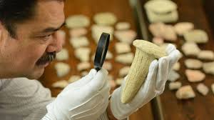 The Complete Story Of Lucy: The Fossil That Changed Human History