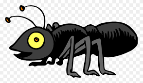 Over 1,216 cricket insect pictures to choose from, with no signup needed. Cricket Insect Clipart Transparent Png Cricket Insect Clipart Stunning Free Transparent Png Clipart Images Free Download