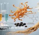 Factory Supply Natural hepatoprotective bioactive ingredient ...