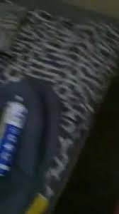 We are proud of our contribution to the pest control industry. 5 Star Pest Solutions Home Facebook