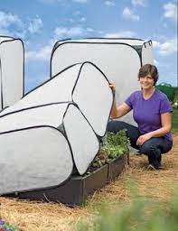 How to cover garden from frost. 17 Frost Protection Ideas Frost Plants Plant Covers