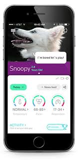 Remember, many things can cause changes in your normal heart rate including your age, activity level, and the time of day. Measure Pet Pulse Petpace