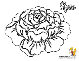 Easily print and color any of these one of. Rose Coloring Pages Printable Coloring Home