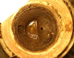 Image result for site:byggahus.se vattenlås-golvbrunn