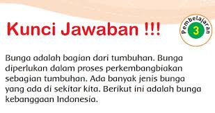 Check spelling or type a new query. Kunci Jawaban Tema 1 Kelas 3 Halaman 162 163 165 166 Subtema 4 Pertumbuhan Dan Perkembangan