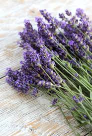 Try sprinkling dried culinary lavender on greek yogurt. English Lavender Recipes Ideas Tips Satori Design For Living