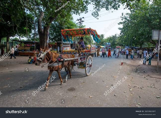 Nalanda Bihar India-sep 14 2025 Horse Stock Photo 2652801907 | Shutterstock