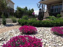 From 'be landscape' via 'houzz', this is a great example of using english garden style to create a front yard lawn alternative. My Front Garden No Grass On This Front Lawn Front Yard Landscaping Simple Yard Landscaping Simple Lawn Alternatives