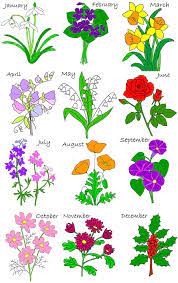 12 fascinating birth flower tattoos for each month of the. Birth Flower Bom Birth Flower Tattoos July Birth Flower Birth Flowers