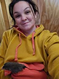 Has anyone knitted a chicken sweater?