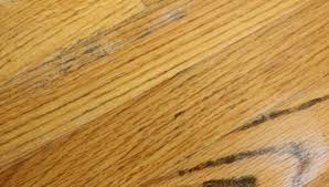 How Do You Remove Mold From Wood Floors Flooring Hardwood Floors Cleaning Wood Floors