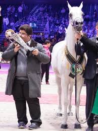 We did not find results for: Ø¨Ø§Ù„ØµÙˆØ± Ø§Ù„Ø°Ù‡Ø¨ Ù„Ù„Ø£Ù…ÙŠØ± Ø¹Ø¨Ø¯Ø§Ù„Ù…Ø¬ÙŠØ¯ ÙÙŠ Ø¨Ø·ÙˆÙ„Ø© Ø¬ Ù…Ø§Ù„ Ø§Ù„Ø®ÙŠÙ„ Ø§Ù„Ø¹Ø±Ø¨ÙŠØ© Ø¨Ø¨Ø§Ø±ÙŠØ³