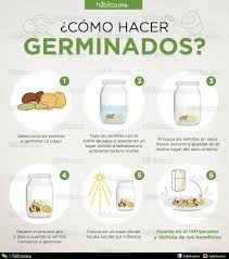 Pin De Pilita Ramz En Cultivo En 2020 Como Hacer Germinados Jardin De Vegetales Jardin De Productos Comestibles
