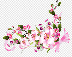 Lambang bunga seruni gambar bunga bunga nusantara bunga api bunga raya bunga ayu seaside resort bunga nasional indonesia. Flower Png Images Pngegg
