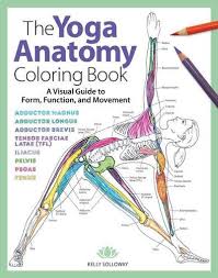 Anatomy coloring book pdf download the pages free sites answers adcosheriffsfoundation dental saunders veterinary. The Yoga Anatomy Coloring Book A Visual Guide To Form Function And Movement Pdf Libribook