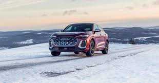 Image result for Argus Brown 2021 Audi