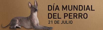 Esta especie animal de cuatro patas llamada perro, can o chucho, es considerada el mejor amigo del ser humano por ser un acompañante fiel e incondicional. 21 De Julio Dia Mundial Del Perro Enterate