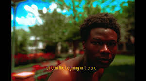 Gracieux Baraka: The States Project: Idaho