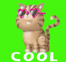 Jul 29, 2021 · cat gif site cat gifs & kitten gifs • 100% original creations • daily updates. Cat In Sunglasses Gifs Get The Best Gif On Giphy