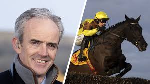 Ruby Walsh: 'Galopin Des Champs could be Willie Mullins' Frankel'