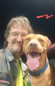 How can I get my dog to stop hiking his leg in the house