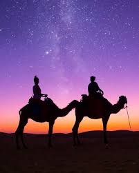 All best tours in morocco. Pin On Morocco