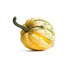 Image result for carnival acorn squash