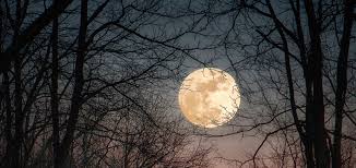 Luna llena del venado (julio / enero): Calendario Lunar Julio 2020 Portalastronomico Com