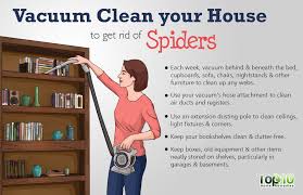 Some of the most common house spiders that you might find in your house include giant house spiders, daddy long legs, hobo spiders, zebra. How To Safely Get Rid Of Spiders From Your House Top 10 Home Remedies