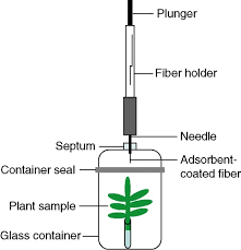 Solid phase microextraction (spme) is an invaluable tool for sample preparation in environmental analysis, because it is a trace analysis technology that is easy to fully automate. Static Headspace Sampling With A Solid Phase Microextraction Spme Download Scientific Diagram