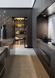 Heijden Hume Collection Collection Projects Modern Kitchen Pantry Modern Pantry Modern Kitchen Design