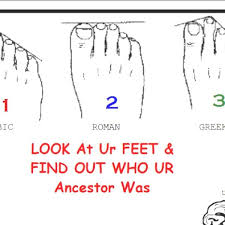 find out your ancestry by looking at your toes interesting