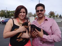 Vaccinating your pet begins right away. Low Cost Dog And Cat Shots In Northern California Miniature Pinscher Vaccines Freeport Blvd Sacramento Low Cost Dog And Cat Shots In Northern California