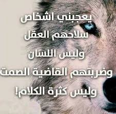صور كلمات عن الصمت و كثرة الكلام Wisdom Quotes Life Photo Quotes Funny Arabic Quotes