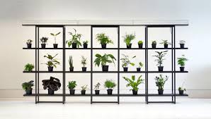• in cement • rubber harnessdimensions: Self Watering Plant Shelves Plant Shelves