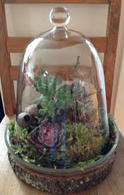 Glass Dome Terrariums Glass Domes Terrarium Domes Terrarium