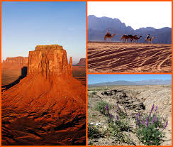 What is the average yearly rainfall in the sahara desert? Desert Mission Biomes