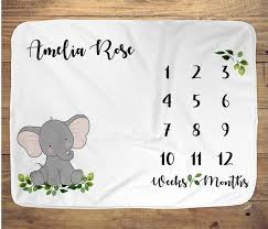 Baby Monthly Milestone Blanket Elephant Animal Boy Girl Etsy Baby Monthly Milestones Milestone Blanket Baby Month By Month
