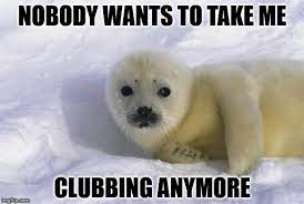 Baby Seal Memes Gifs Imgflip