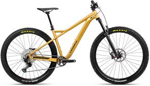 Image result for Orbea knobelii