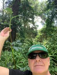 The first three photos are of unnamed seedlings I have grown from hand  pollinated blossoms that produced seeds for me last year. The fourth photo  is Mikayla Miranda. Photo number 5 is