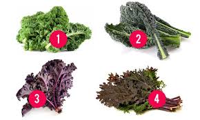 Kale What You Need To Know About This Superfood