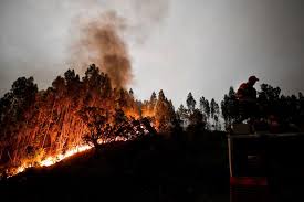 Más en incendio en portugal. Fotos As Imagens Do Incendio Em Portugal El Pais