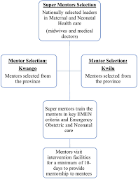 Improving The Quality Of Maternal And Newborn Health Outcomes Through A Clinical Mentorship Program In The Democratic Republic Of The Congo Study Protocol Reproductive Health Full Text